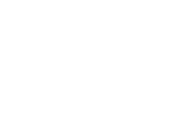 carrefour-logo-blanc